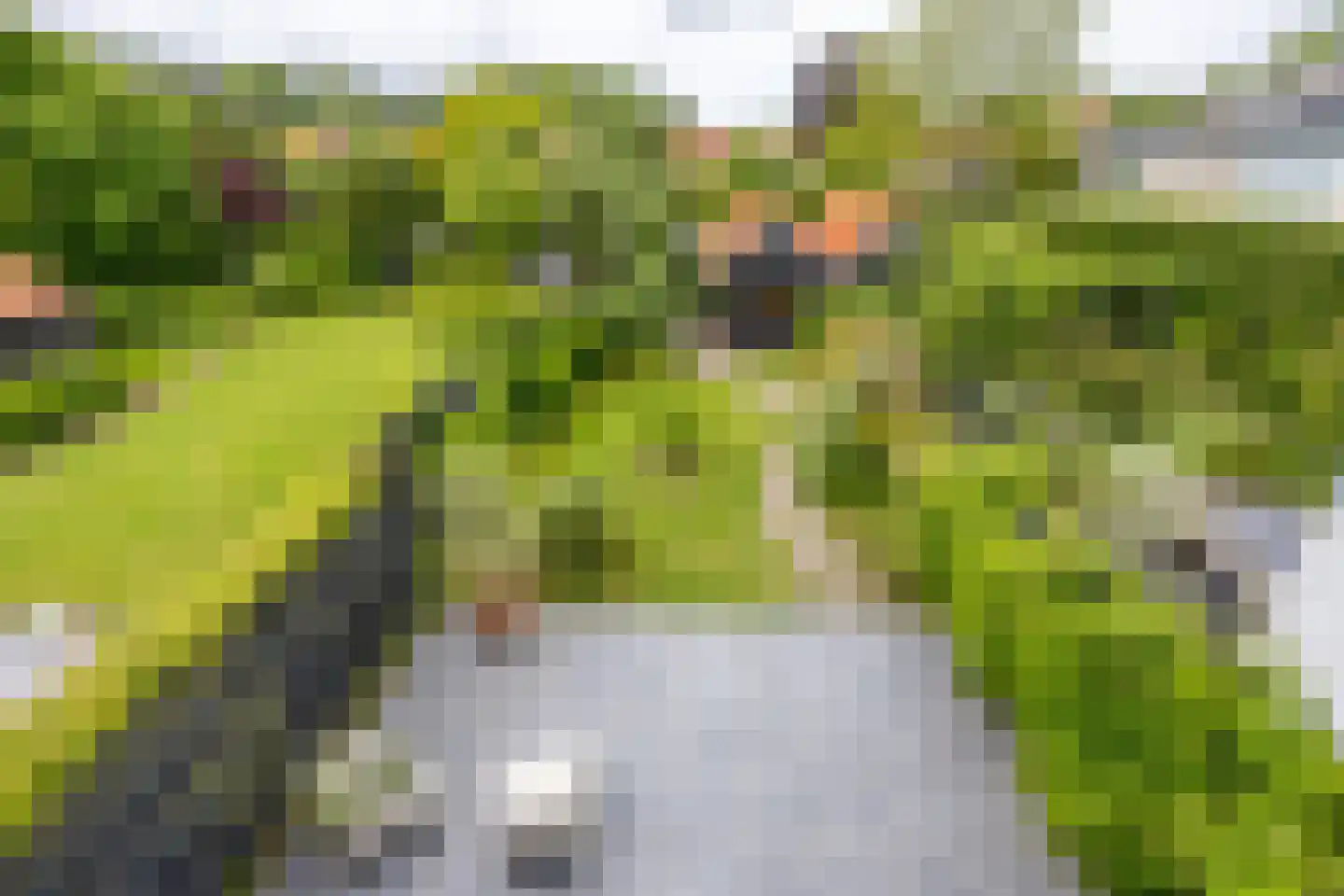 Blekersvaartweg 14 C Heemstede thumbnail 33