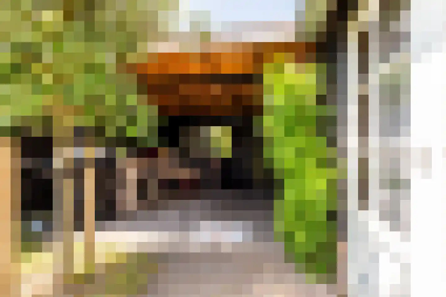 Blekersvaartweg 14 C Heemstede thumbnail 33