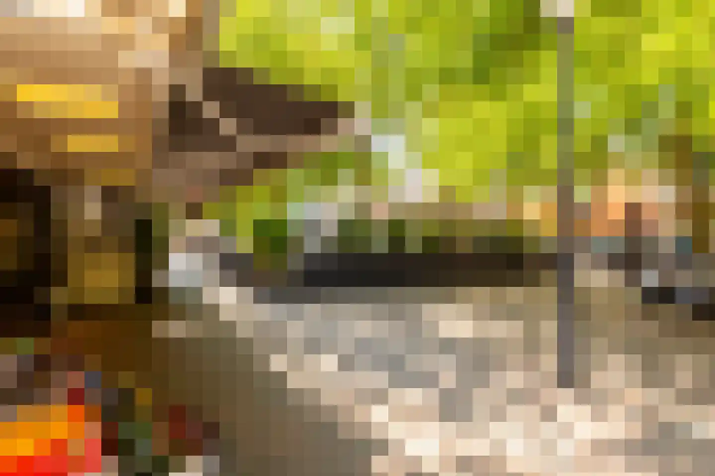 Blekersvaartweg 14 C Heemstede thumbnail 36