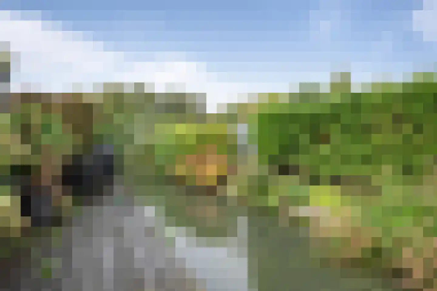 Blekersveld 15 Overveen thumbnail 17