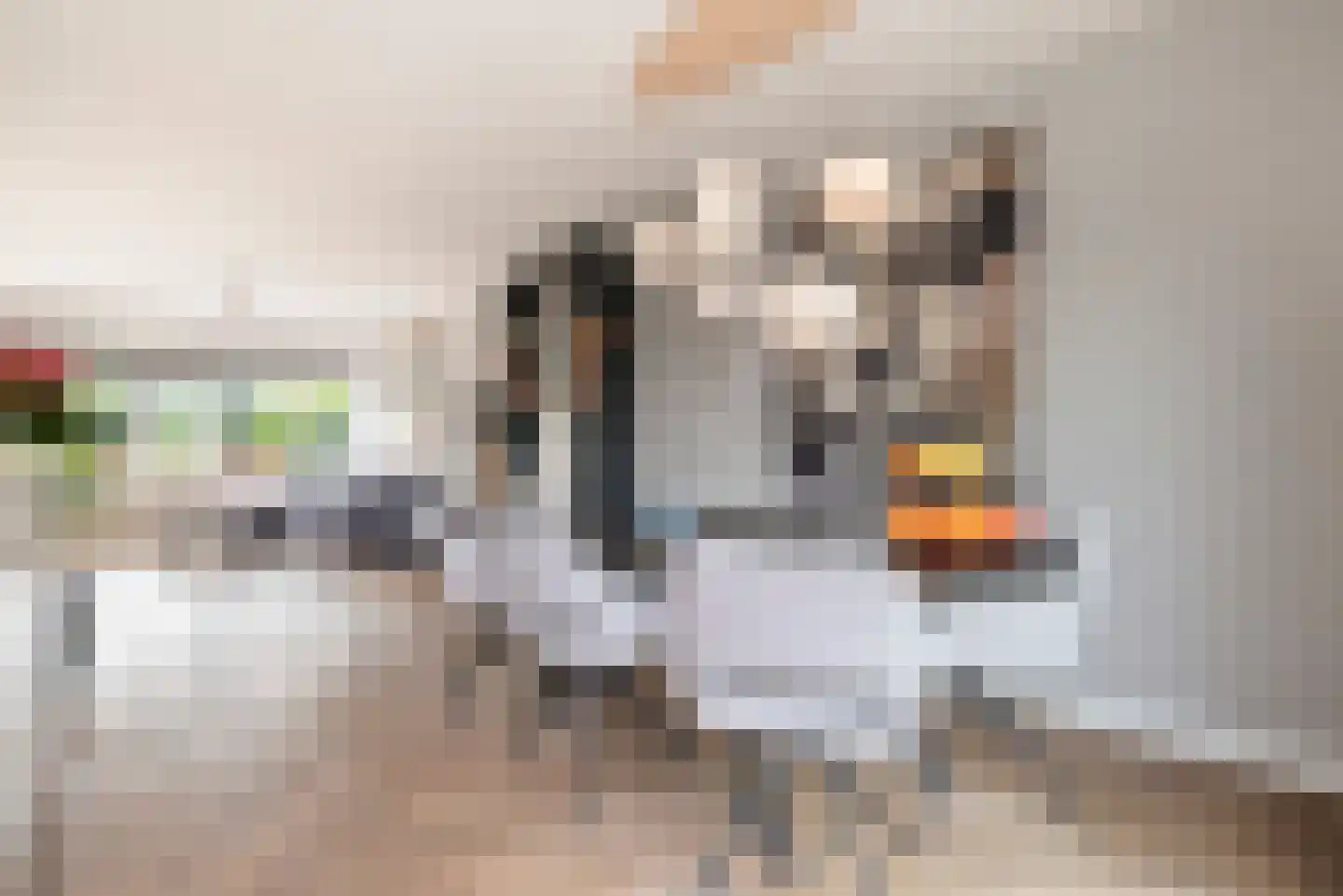 Blekersveld 15 Overveen thumbnail 4