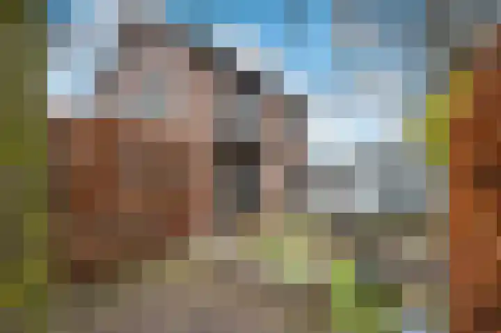 Blekersweg 15 A Apeldoorn thumbnail 38