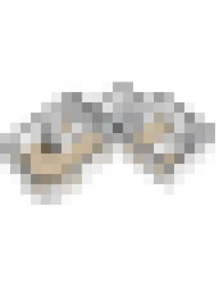 Blekersweg 15 A Apeldoorn thumbnail 44