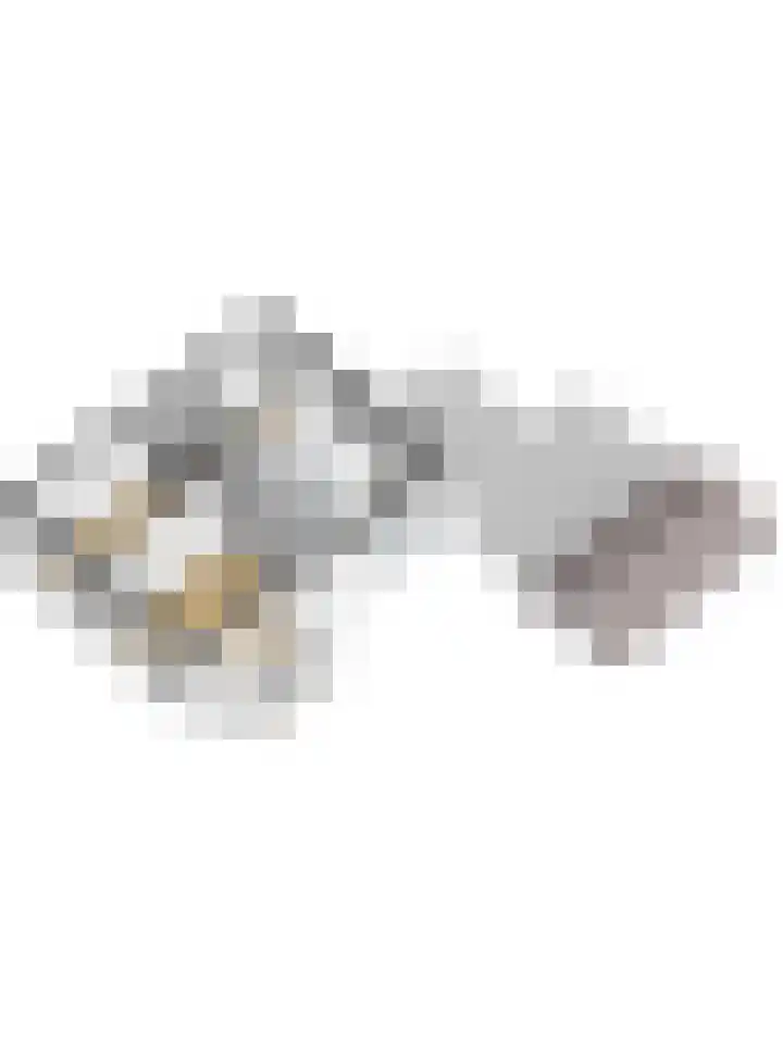 Blekersweg 15 A Apeldoorn thumbnail 46
