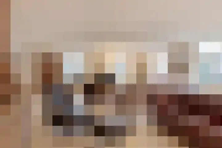 Blekersweg 15 Epe thumbnail 10