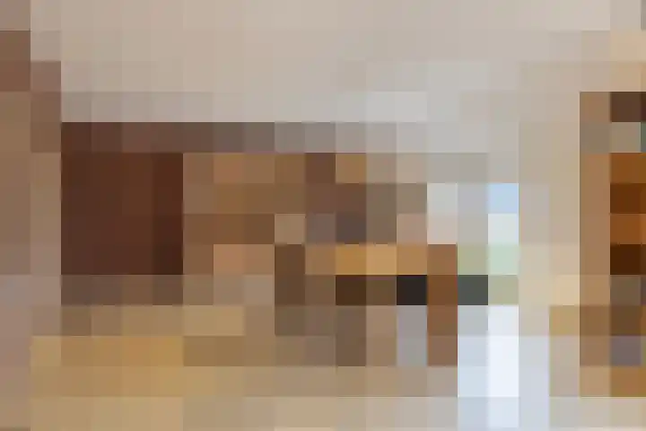 Blekersweg 15 Epe thumbnail 13