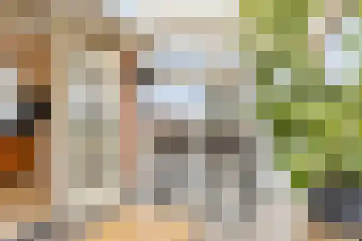 Blekersweg 15 Epe thumbnail 19