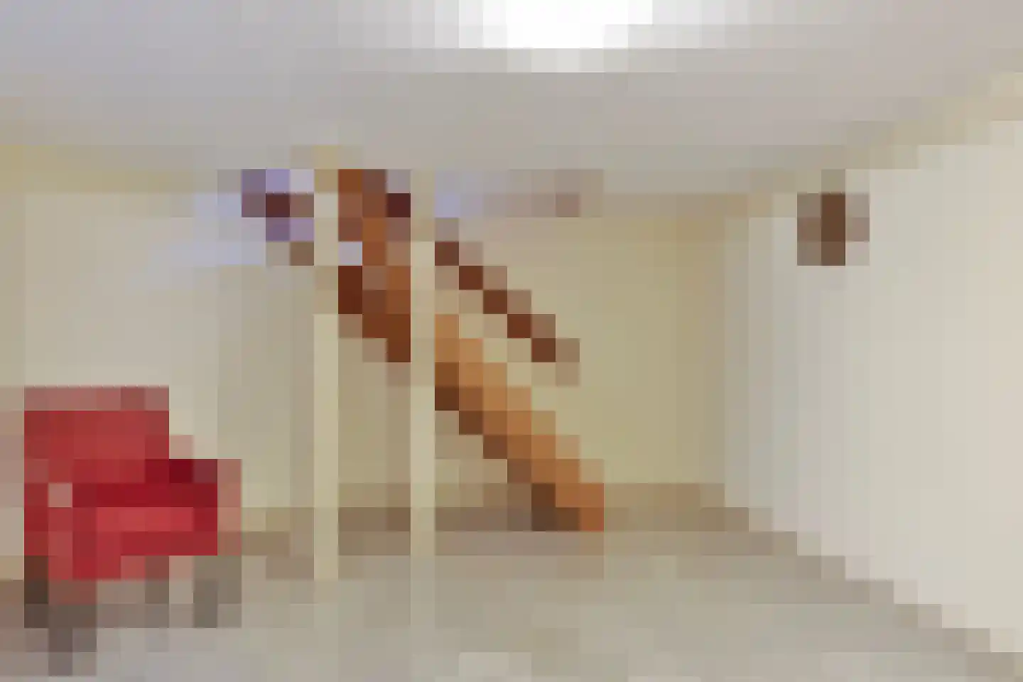 Blekersweg 15 Epe thumbnail 20