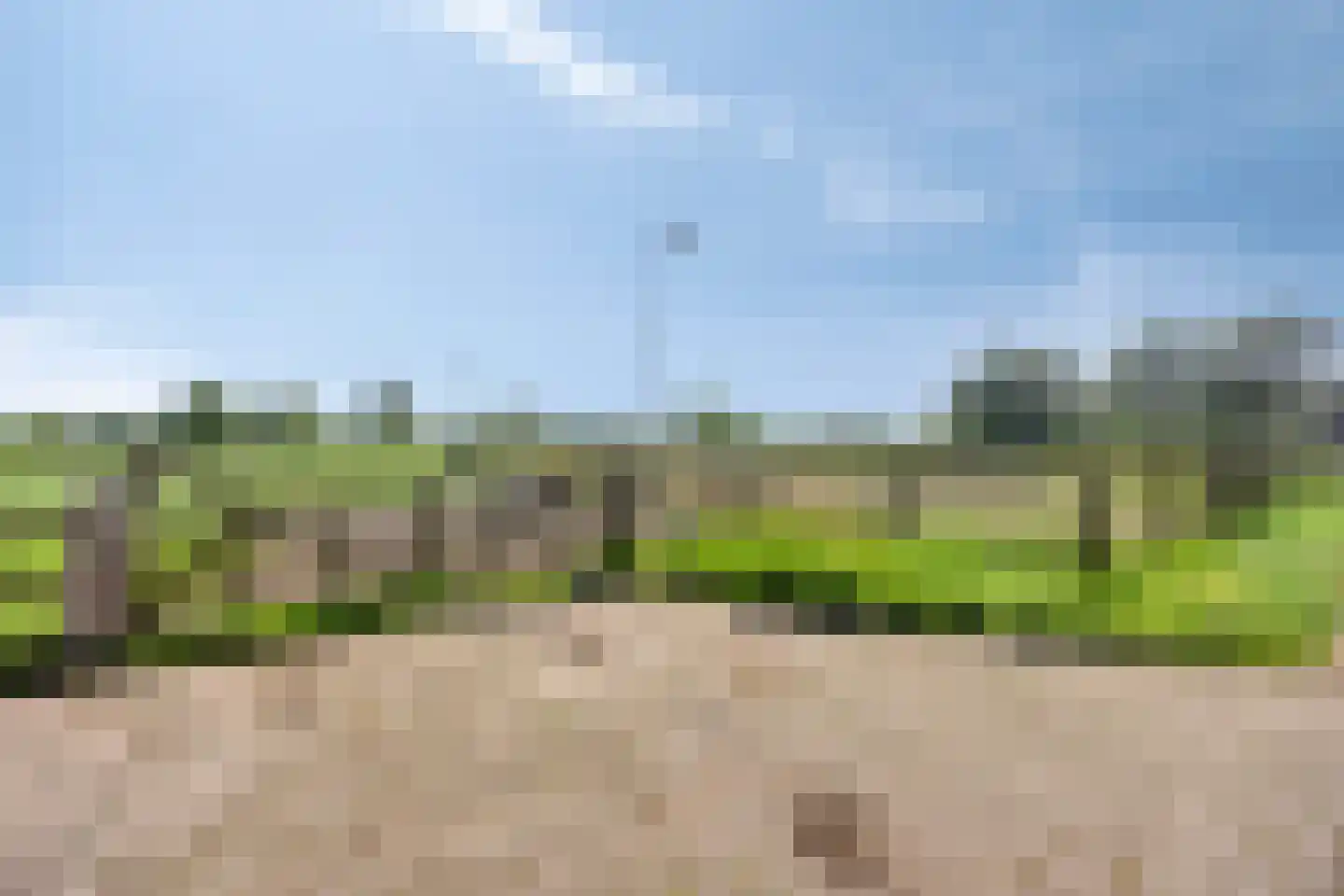 Blekersweg 15 Epe foto 3
