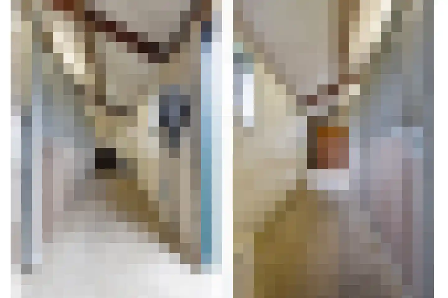 Blekersweg 15 Epe thumbnail 39