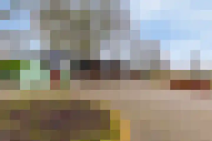 Blekersweg 15 Epe thumbnail 39