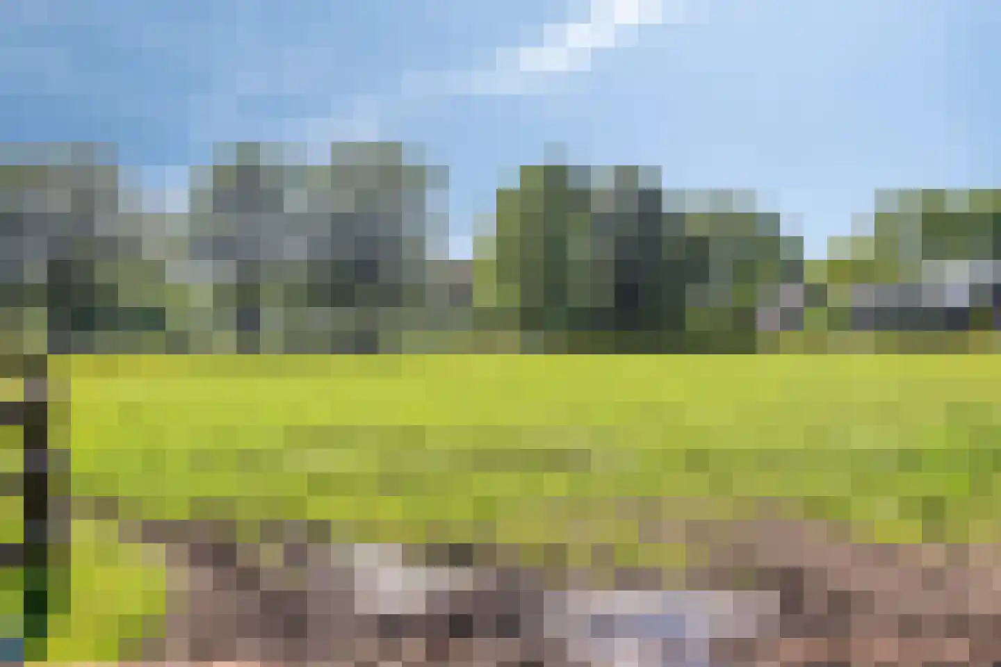Blekersweg 15 Epe thumbnail 41