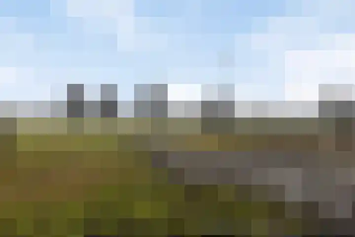 Blekersweg 15 Epe thumbnail 42