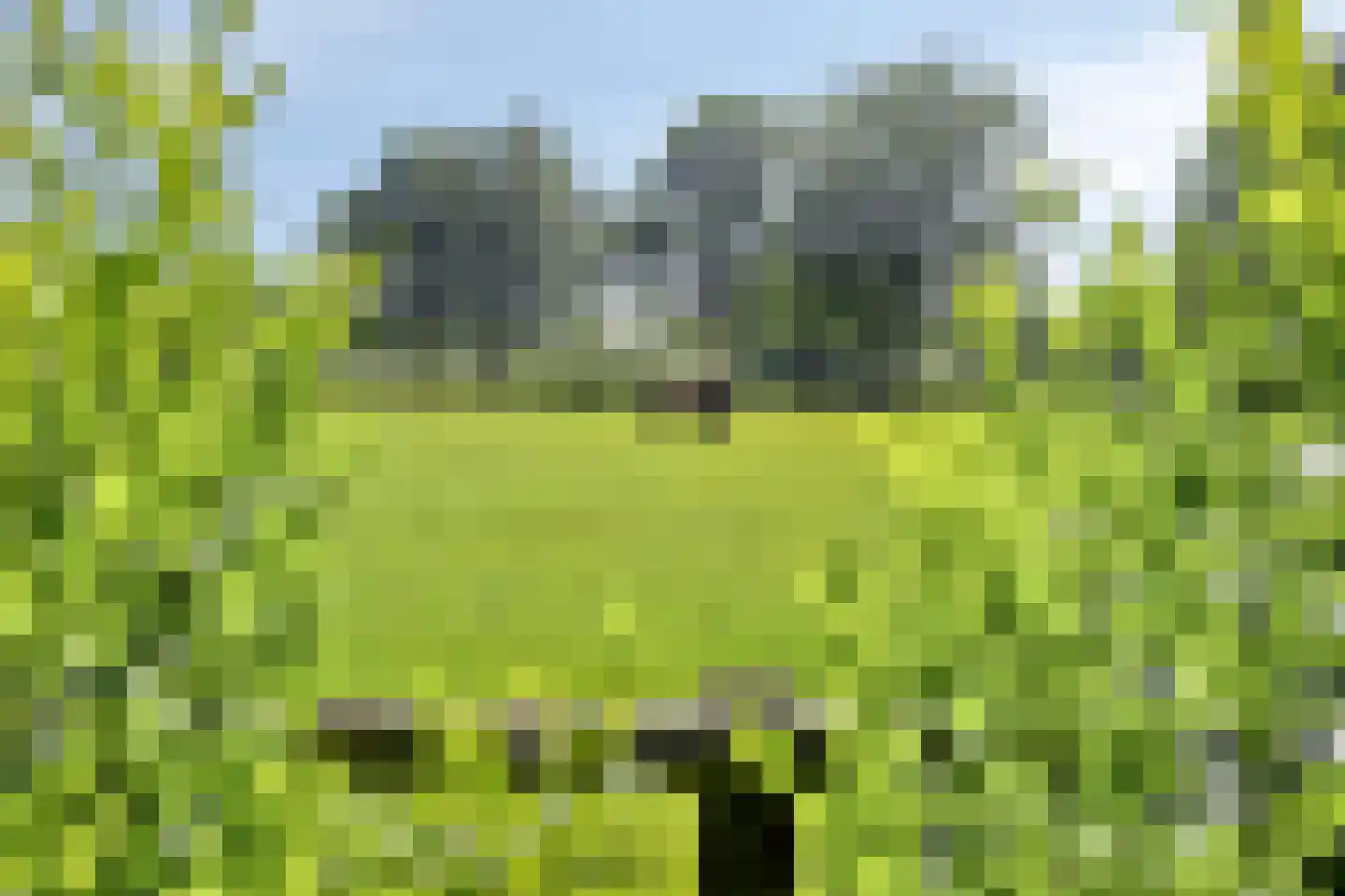 Blekersweg 15 Epe thumbnail 43