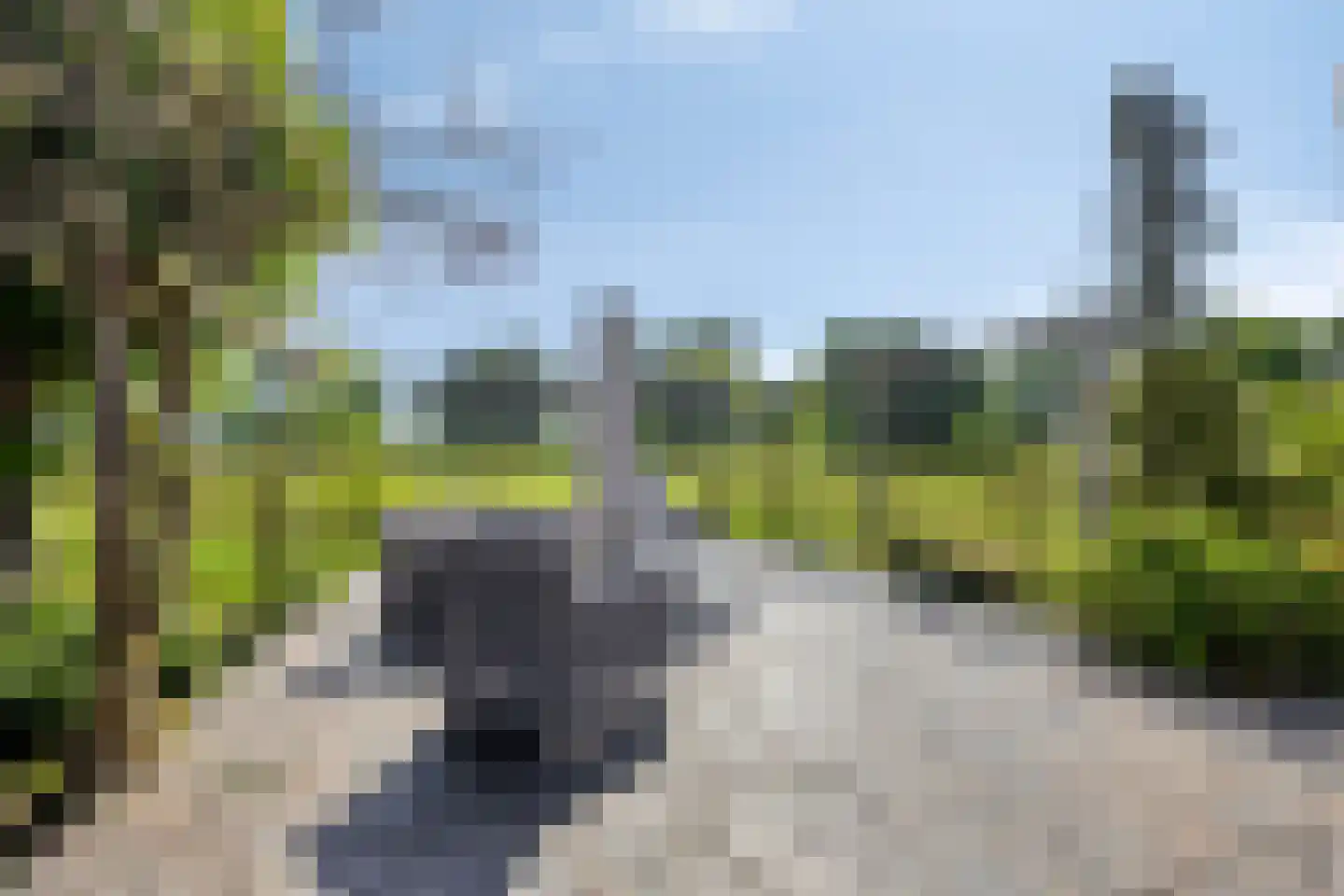 Blekersweg 15 Epe thumbnail 48