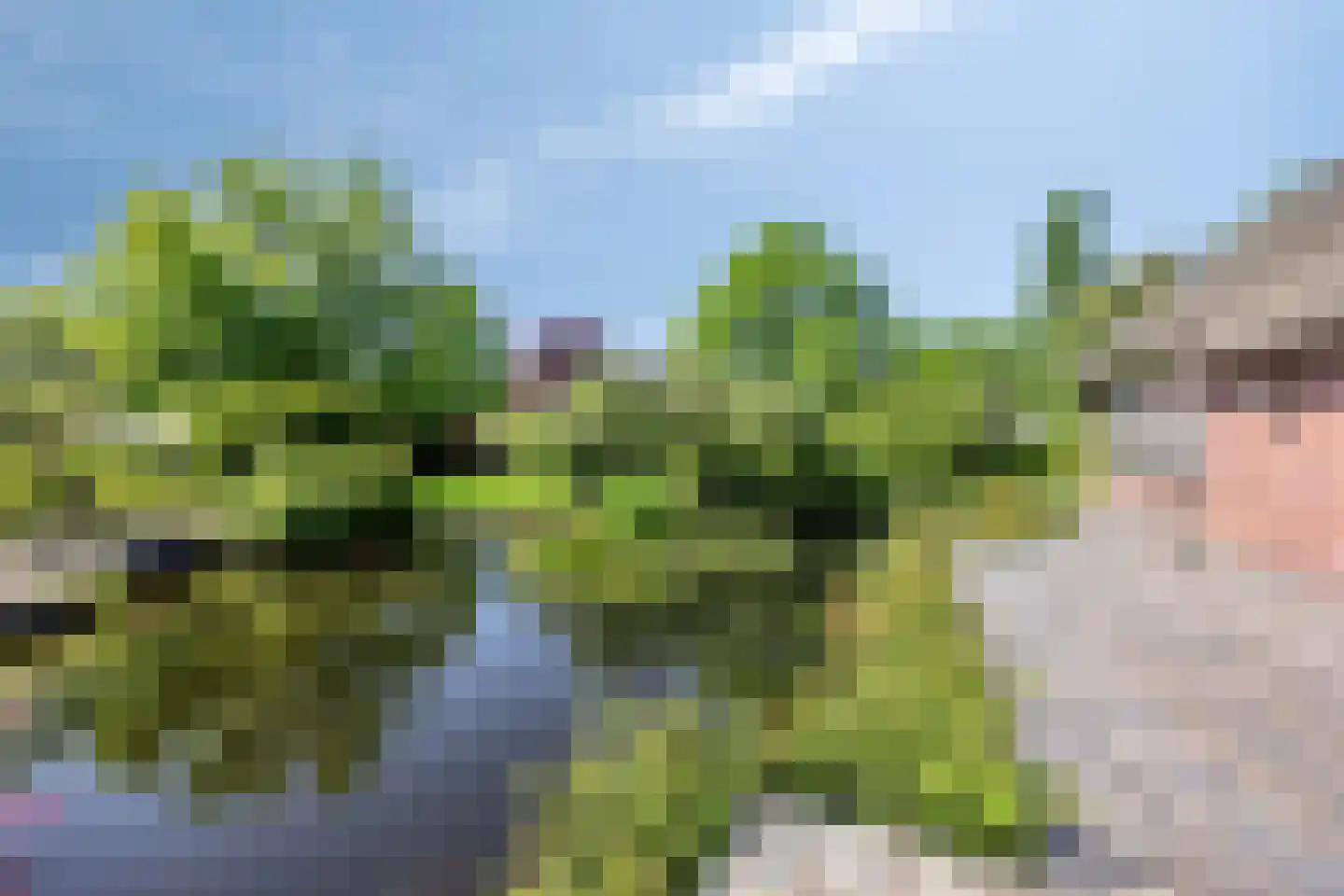 Blekersweg 15 Epe thumbnail 49