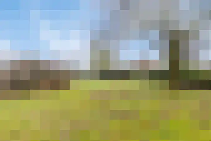Blekersweg 15 Epe thumbnail 52