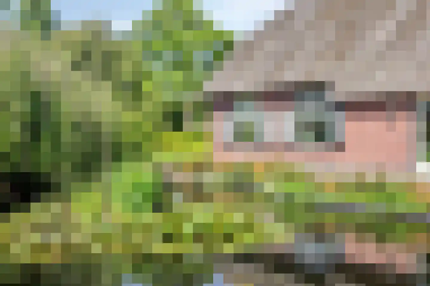 Blekersweg 15 Epe thumbnail 52