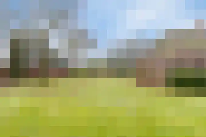 Blekersweg 15 Epe thumbnail 53