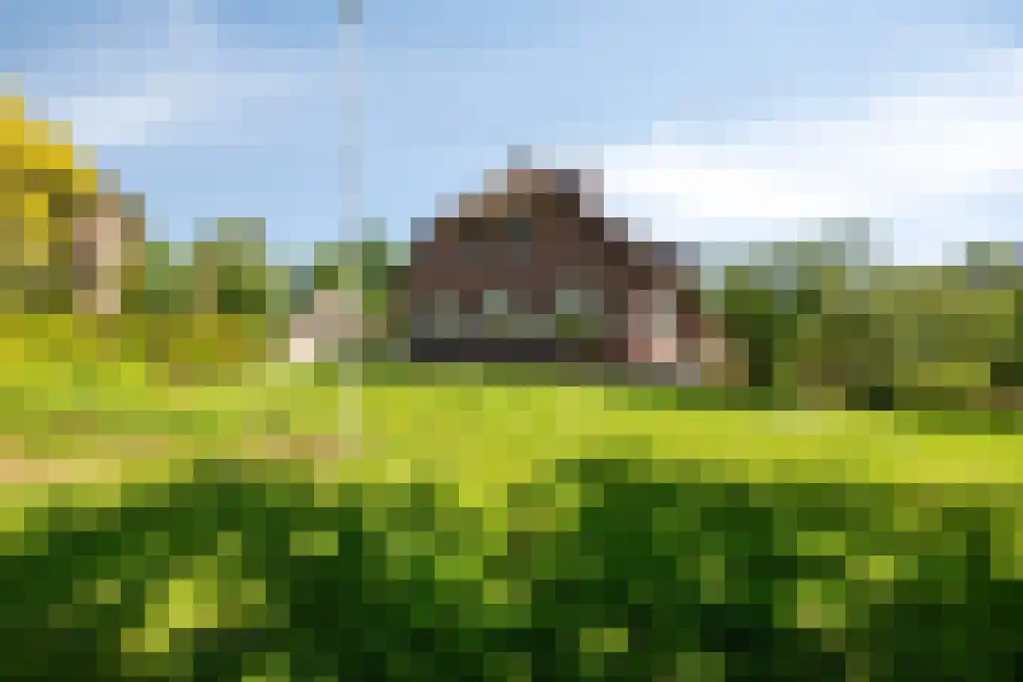 Blekersweg 15 Epe thumbnail 53