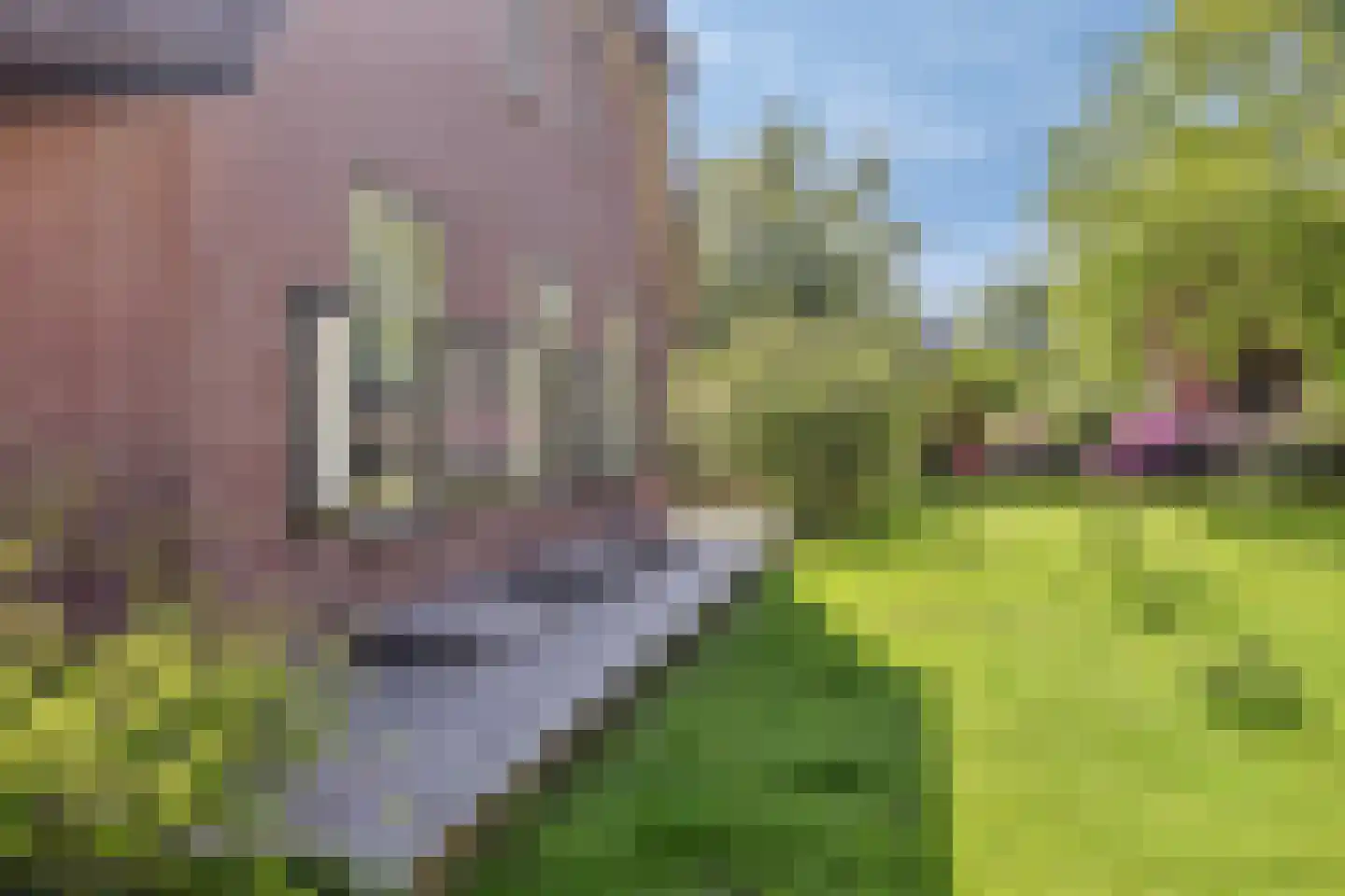 Blekersweg 15 Epe thumbnail 54