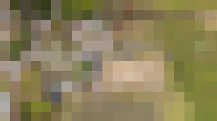 Blekersweg 15 Epe thumbnail 56