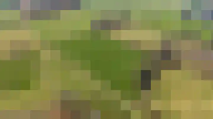 Blekersweg 15 Epe thumbnail 57