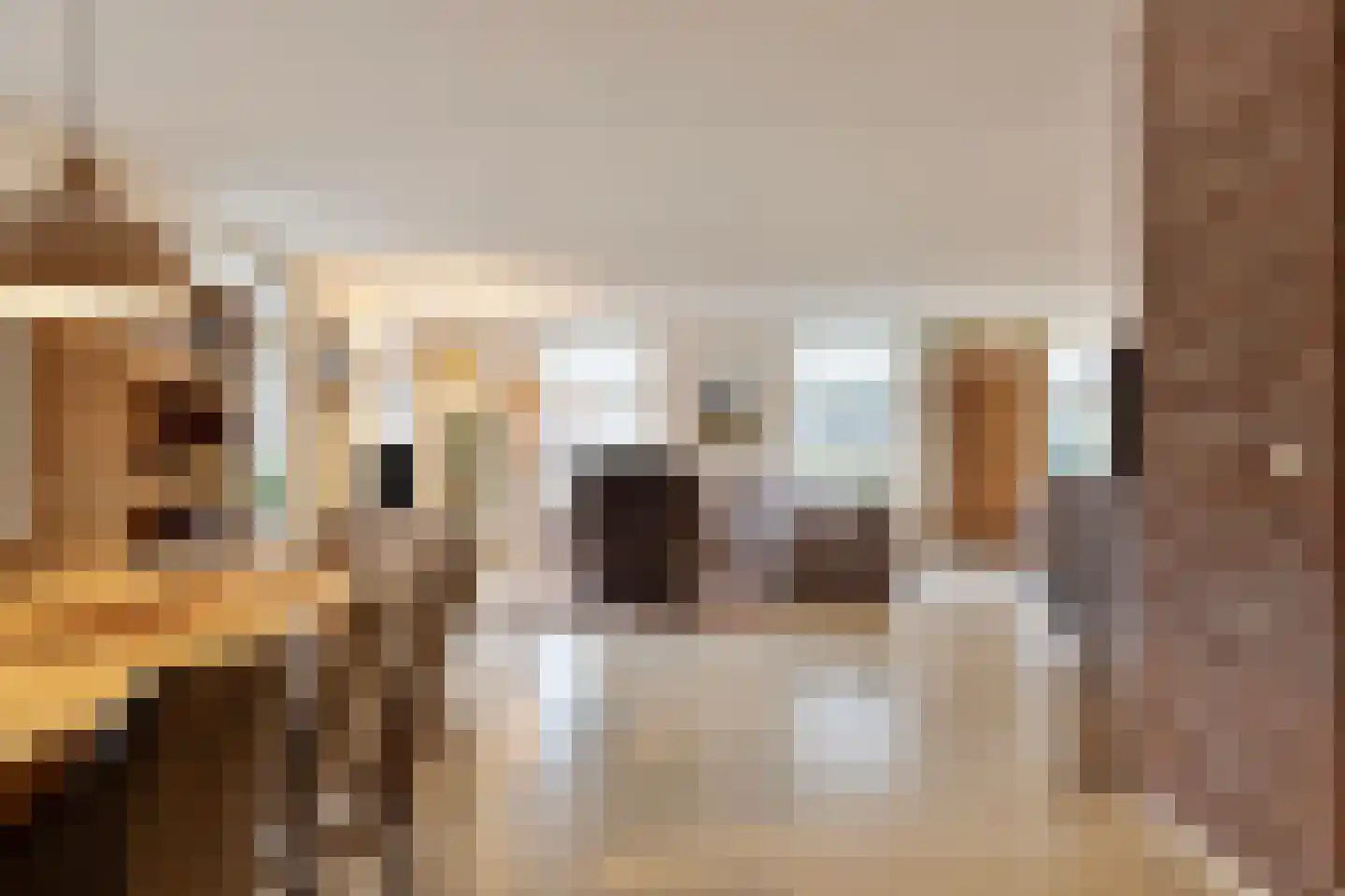 Blekersweg 15 Epe thumbnail 6