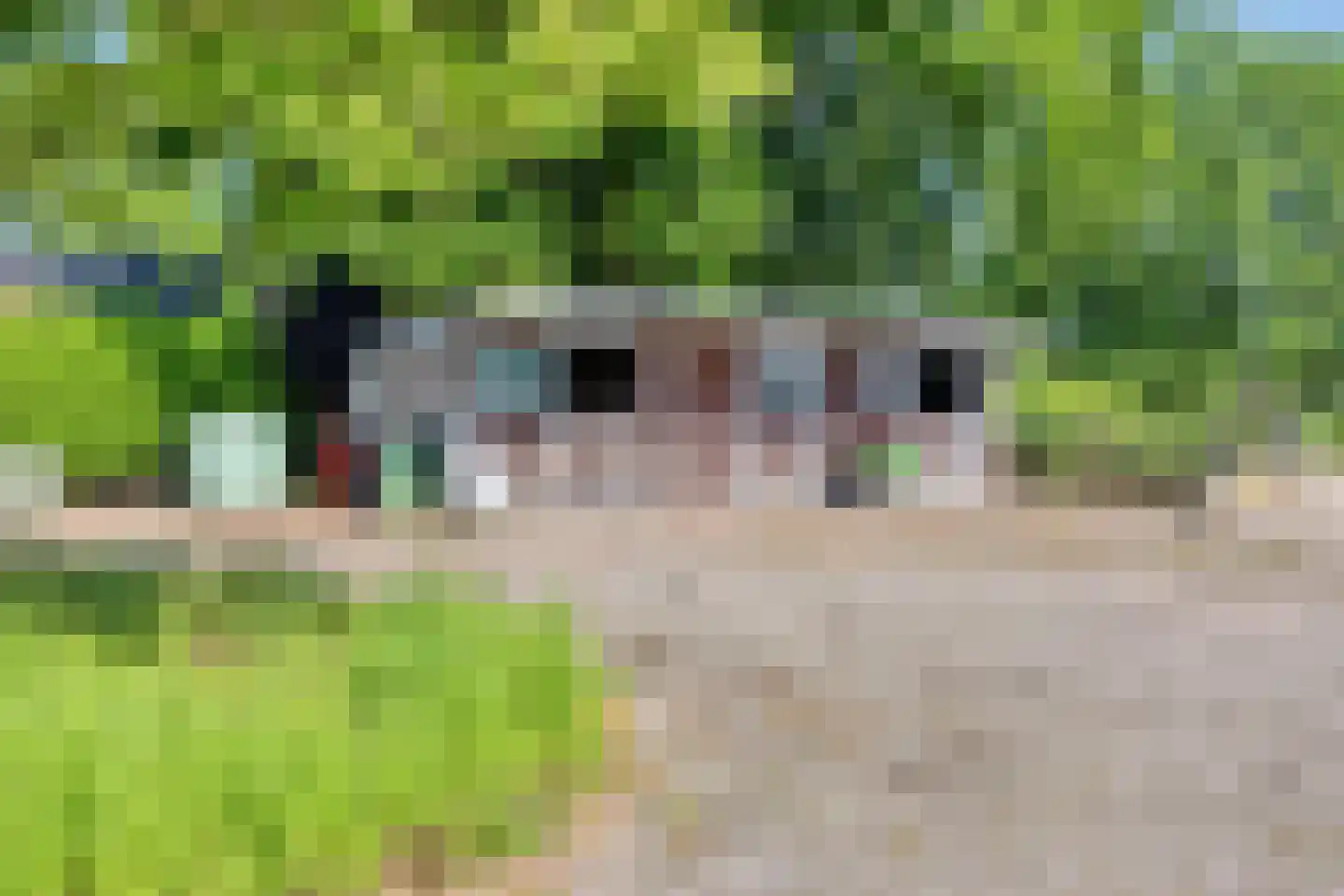 Blekersweg 15 Epe thumbnail 64
