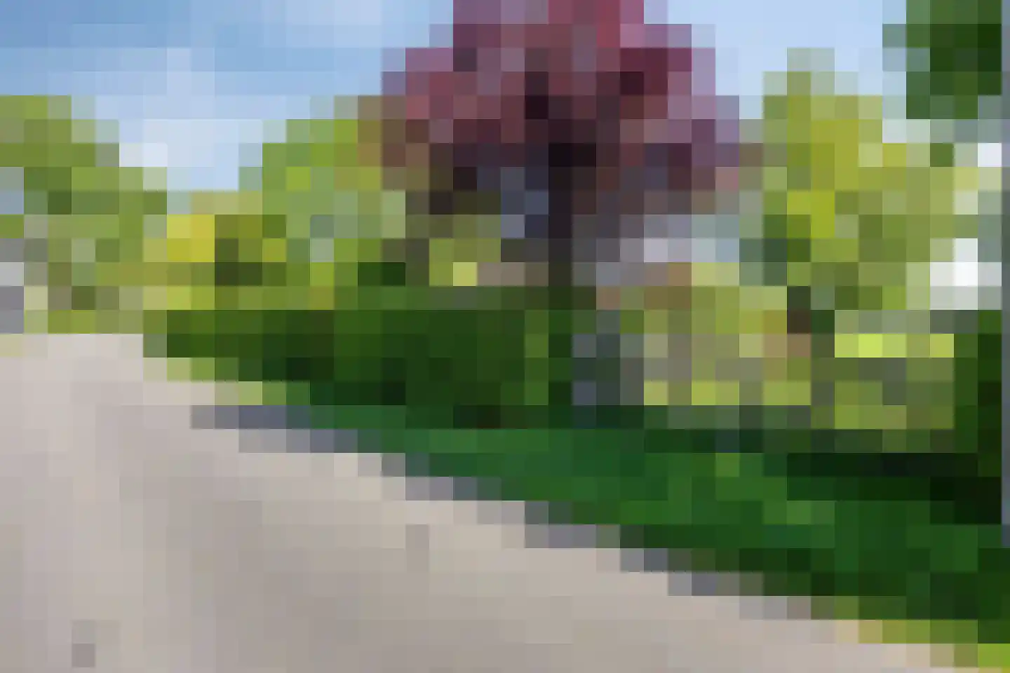 Blekersweg 15 Epe thumbnail 69