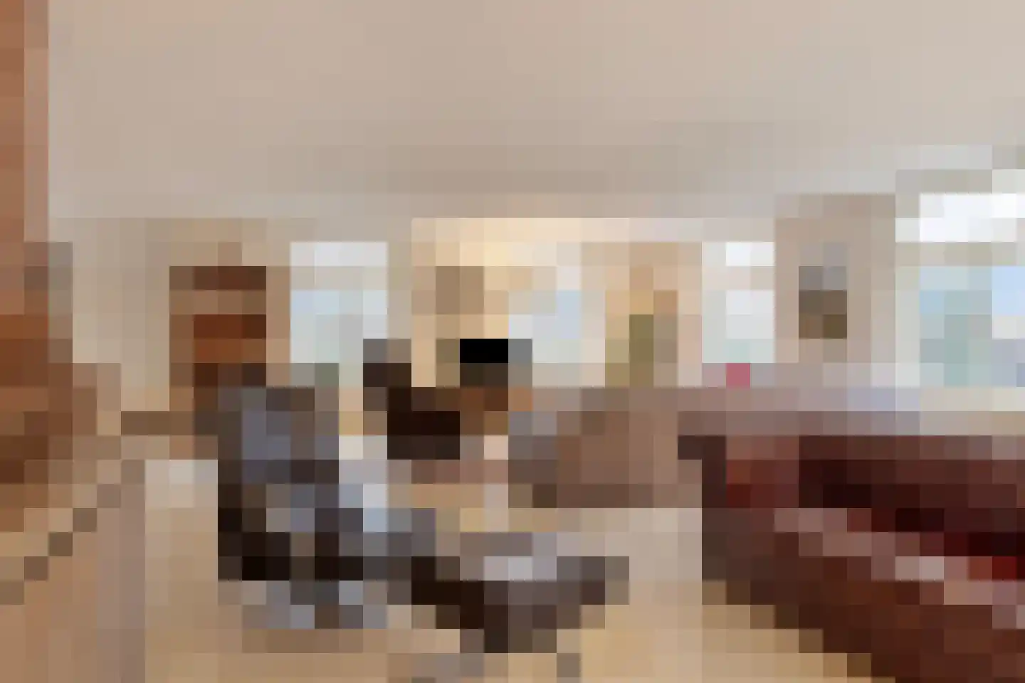 Blekersweg 15 Epe thumbnail 9