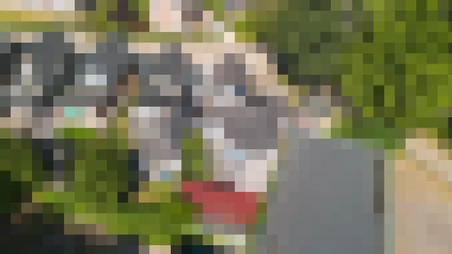 Blekersweg 17 Apeldoorn thumbnail 35