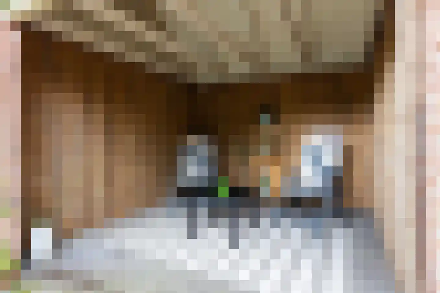 Blekersweg 29 Apeldoorn thumbnail 17