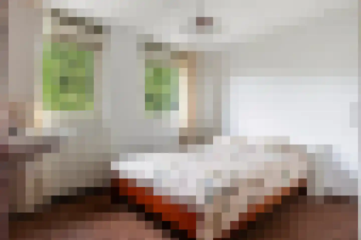 Blekersweg 29 Apeldoorn thumbnail 26