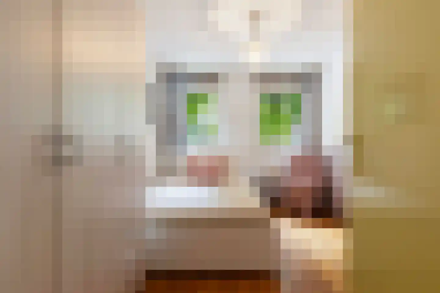 Blekersweg 29 Apeldoorn thumbnail 34