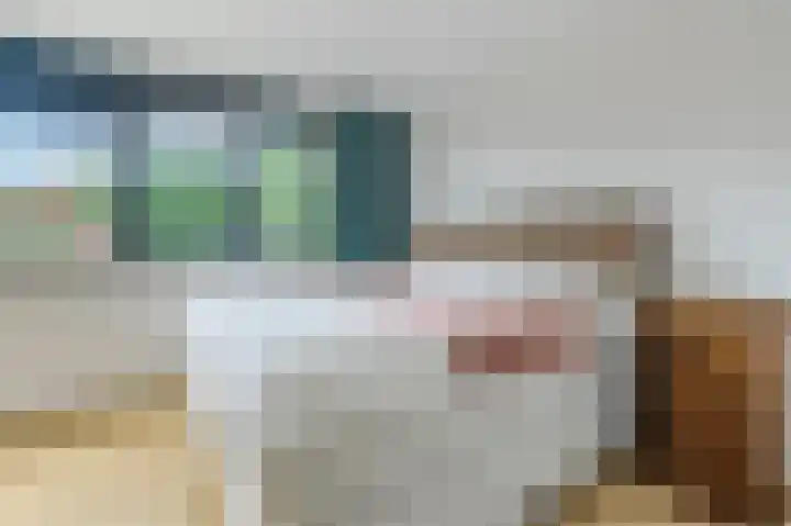 Blekerswegje 49 Zwolle thumbnail 21