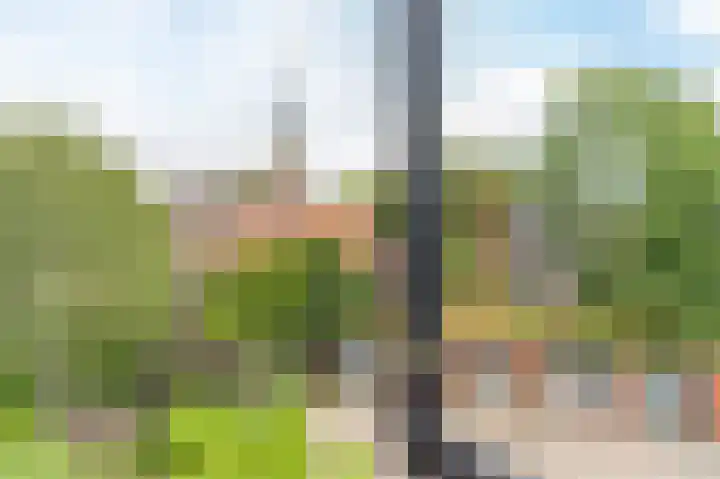 Blekerswegje 49 Zwolle thumbnail 29