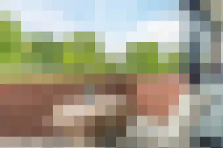 Blekerswegje 49 Zwolle thumbnail 30