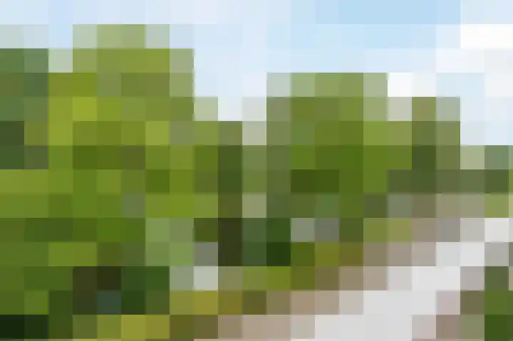 Blekerswegje 49 Zwolle thumbnail 31
