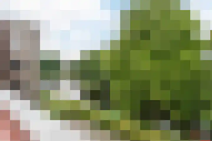 Blekerswegje 49 Zwolle thumbnail 32