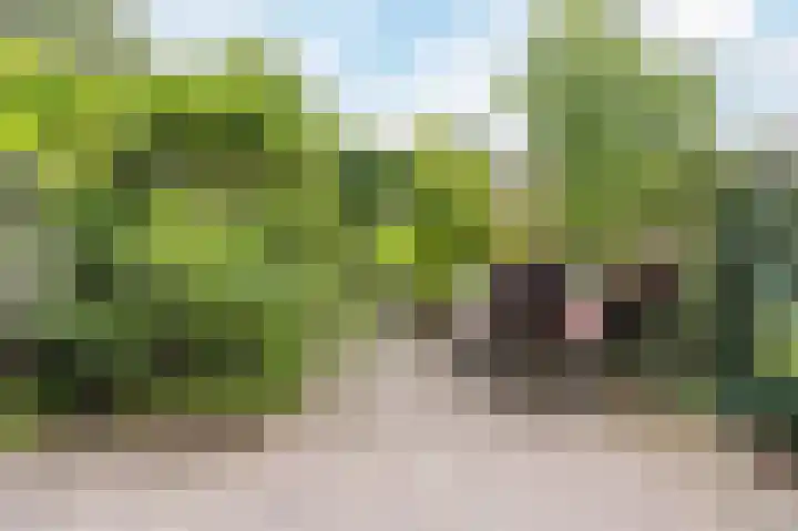 Blekerswegje 49 Zwolle thumbnail 33