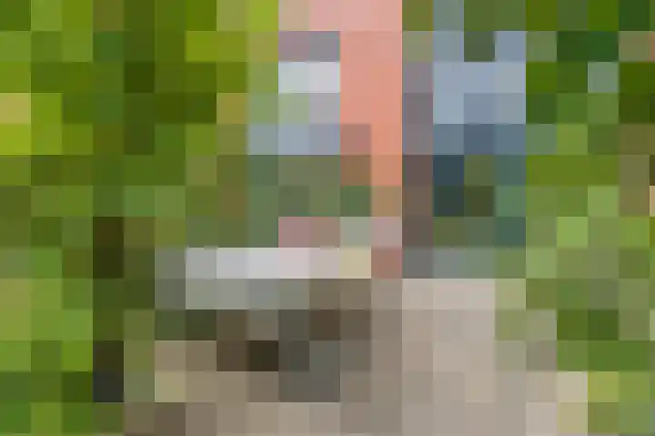 Blekerswegje 49 Zwolle thumbnail 34