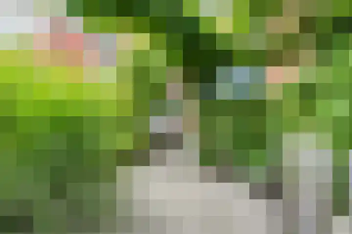Blekerswegje 49 Zwolle thumbnail 35