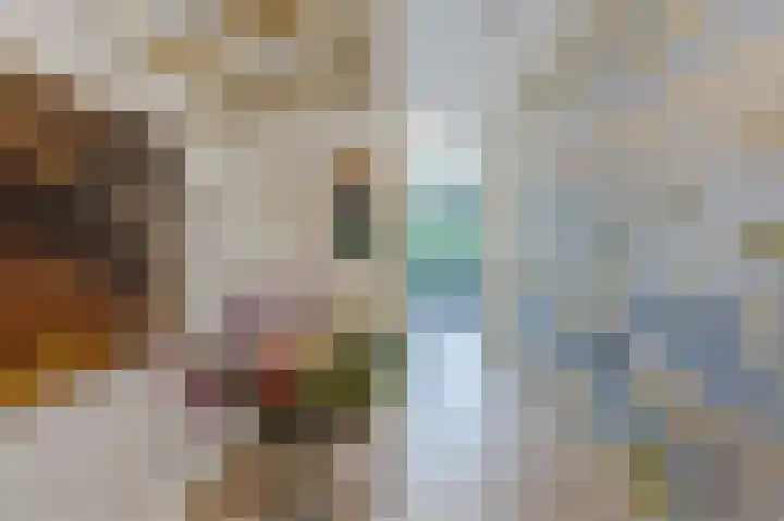Blekerswegje 49 Zwolle thumbnail 6