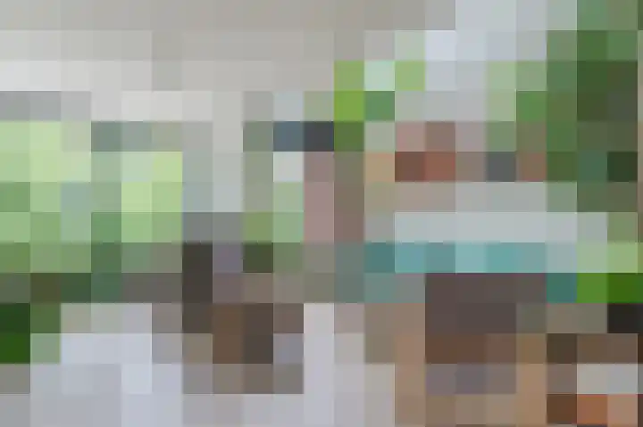 Blekerswegje 49 Zwolle thumbnail 7
