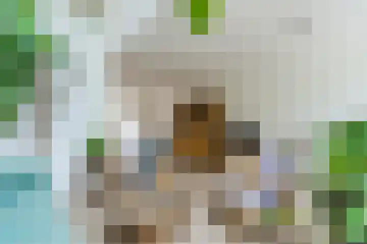 Blekerswegje 49 Zwolle thumbnail 8