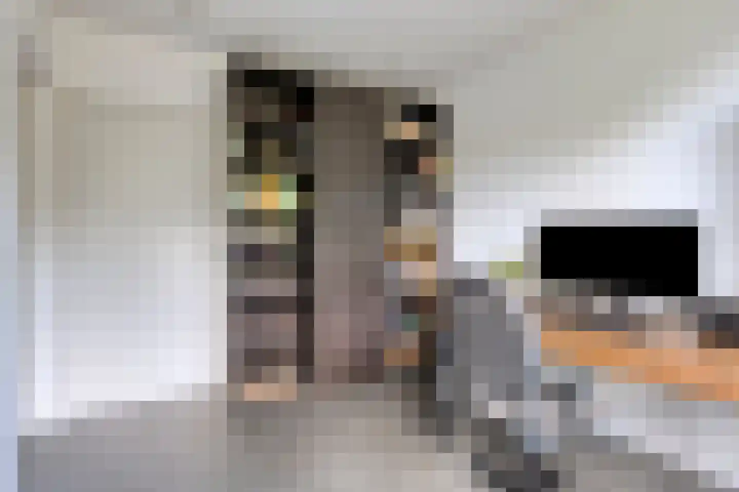 Blekerwei 2 Valkenswaard thumbnail 32