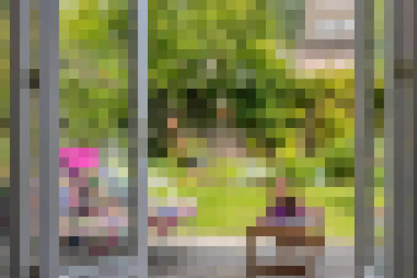 Blekerwei 2 Valkenswaard thumbnail 4