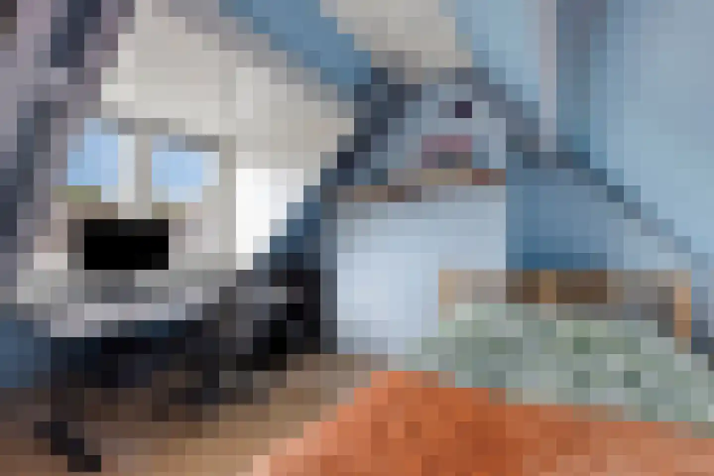 Blekerwei 2 Valkenswaard thumbnail 44