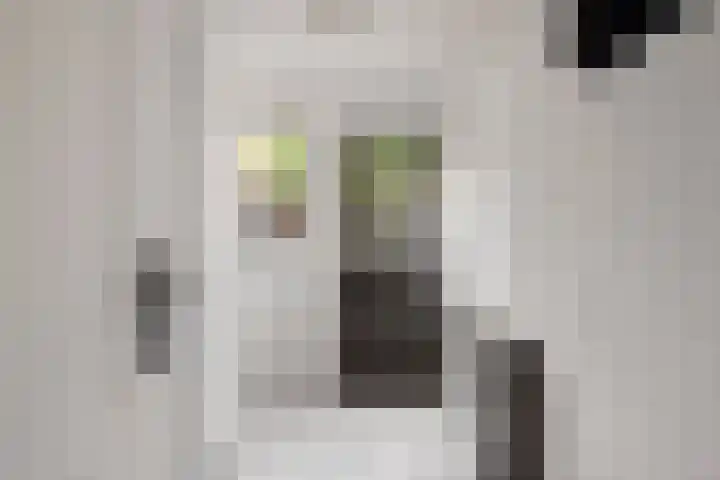 Blekerwei 23 Valkenswaard thumbnail 11